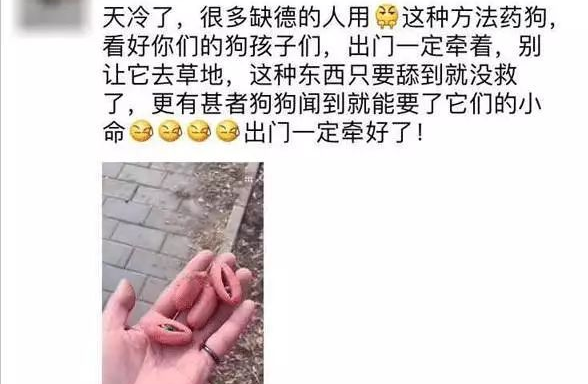 朋友圈被『毒香肠』刷屏了养狗好几年，香肠毒死它却只要几分钟