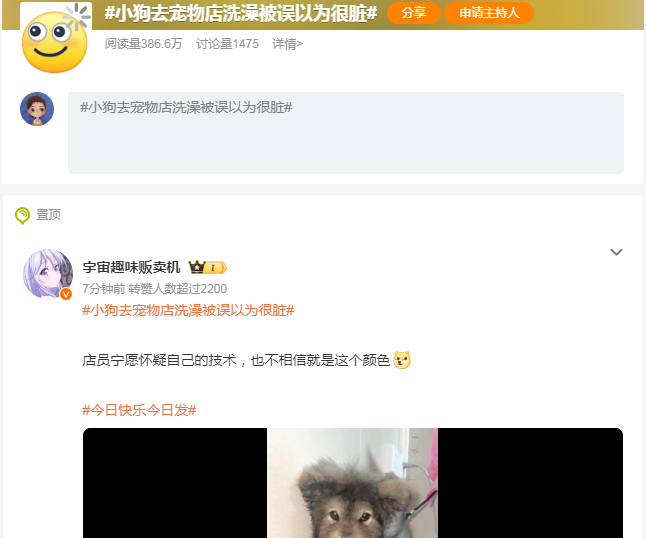 小狗去宠物店洗澡被误以为很脏,没想到就是这个色