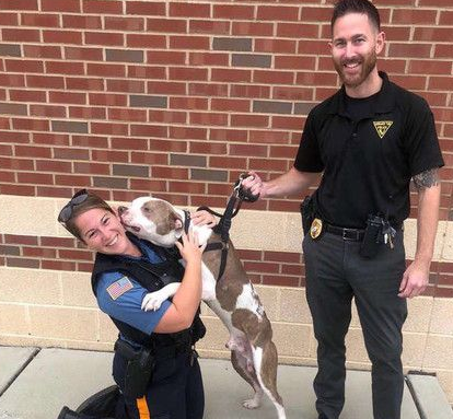 比特犬被主人绑树上虐待 幸得志工和警察帮助获得解救
