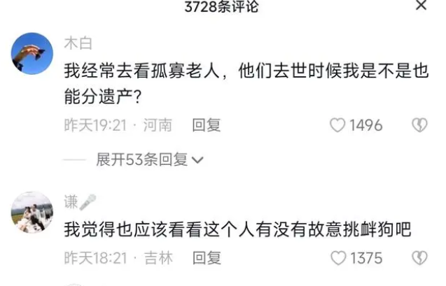 陕西流浪狗咬伤居民,长期投喂者被判赔偿3000元,网友:善没善报