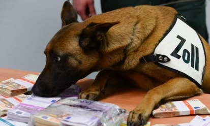 嗅到了钱钱的味道!嗅闻犬嗅出乘客非法携带的25万欧元现金