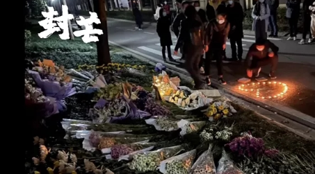遛狗不牵绳闹出人命,“凶手”哪去了?后续出乎所有人意料