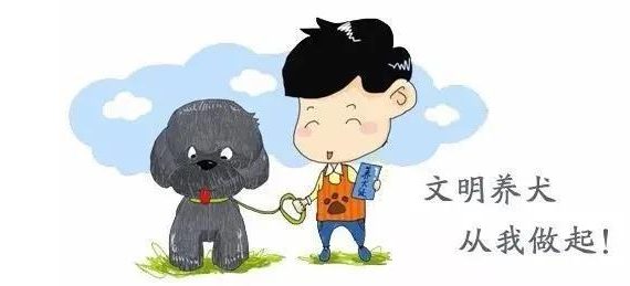 为期一个月,福山区开始对违规养犬进行专项整治
