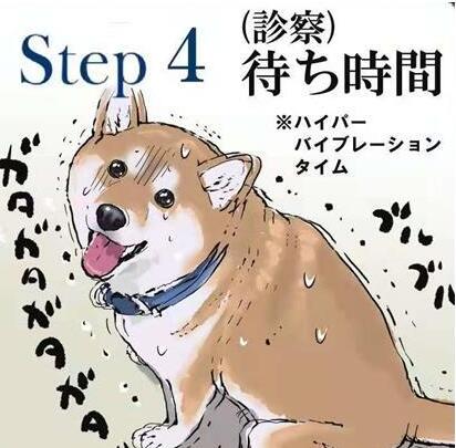 柴犬打针是什么体验,漫画图的表现,让它在怀疑“狗生”