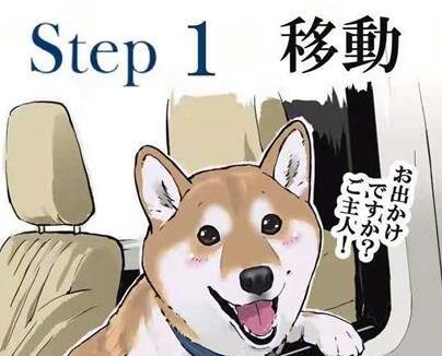 柴犬打针是什么体验,漫画图的表现,让它在怀疑“狗生”