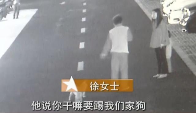 孩子被宠物狗追, 女子驱赶反遭狗主人殴打