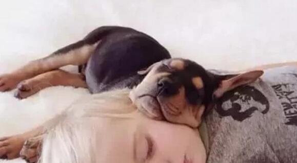 孩子与狗狗真的不能共存吗?看看国内外专家是怎么说的!