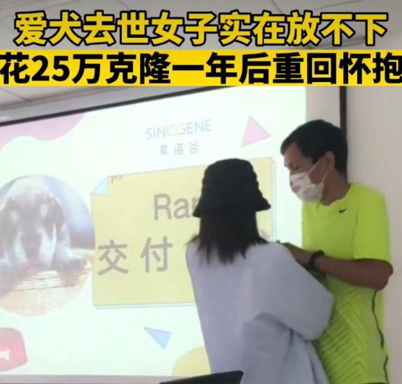 女子花25万克隆去世宠物狗引热议 实在放不下:克隆动物你能接受?