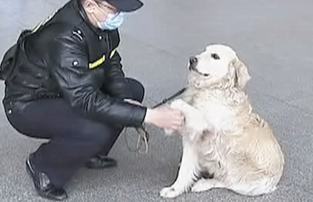 巡逻犬发现1个小孩在哭泣,民警了解后忍不住赞叹:也太厉害了吧