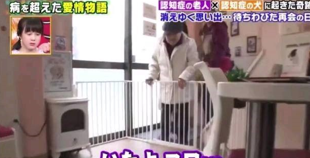 狗狗和主人都换上了老年痴呆 多年后的重逢 还会认得彼此吗?
