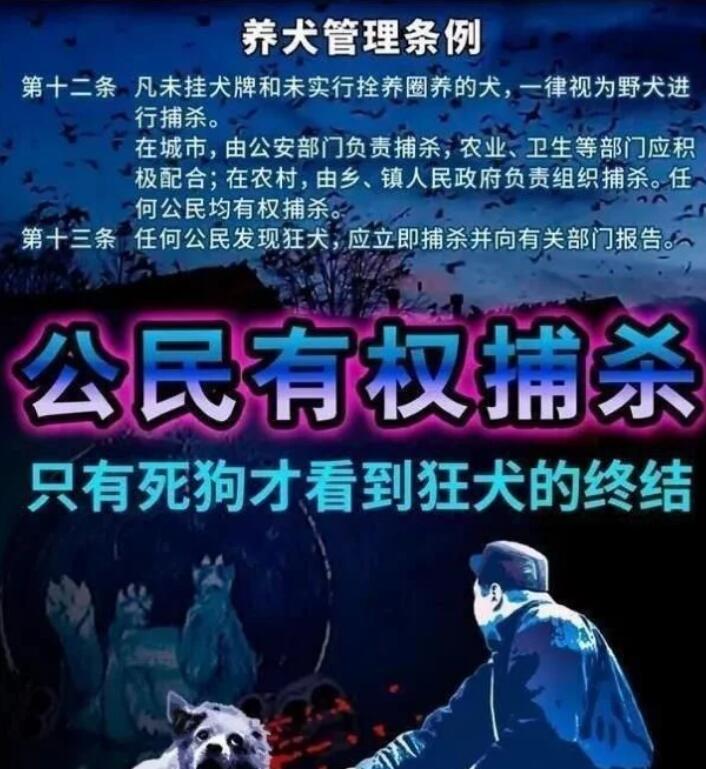 活该！江苏一条狗遭菜场老板棒杀挂树，爱狗人士看到伤心欲绝