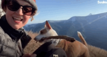 原来狗子也爱冒险，狗子刚到家时胆小如鼠，没多久就开始...