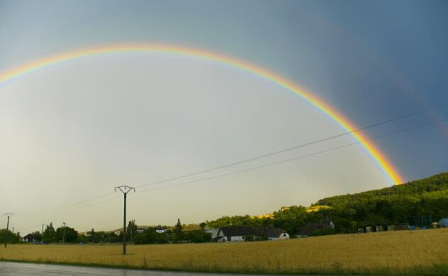 狗狗帮主人拆包裹发现里面都是书，结果特兴奋地上去把书撕个稀碎