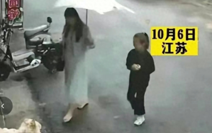 回顾:松狮犬咬人后续来了!女子索赔800万被拒,主人怒杀当事狗