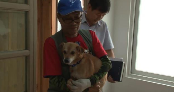 狗狗与爸爸相处5年,爸爸火灾后失踪,狗狗独守废墟,不愿离开!