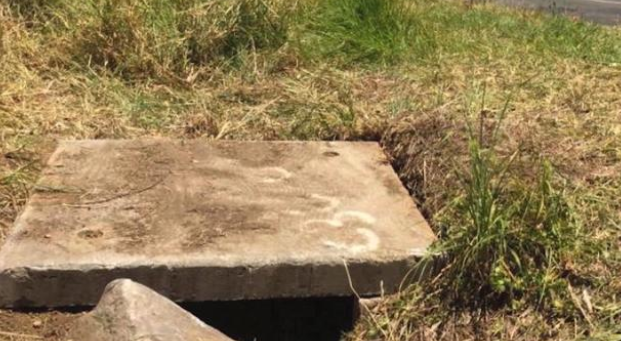 宠物狗拯救了新生儿的生命,之后奇迹接连不断的发生