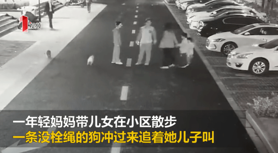 年轻妈妈被不牵狗绳的男主人殴打至骨折!