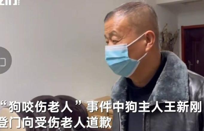 晓蕾说丨安阳“狗咬人”事件:如果王新刚的狗会说话