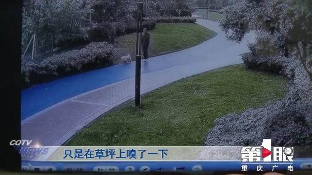 某小区宠物狗接连死亡 警方介入调查