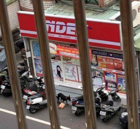 黑狗偷吃炸鸡套餐 整个犯罪现场被拍下