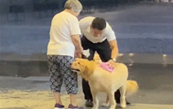 老奶奶牵着狗突遇大雨,商场保安热心招呼躲雨,还用毛巾帮狗擦干