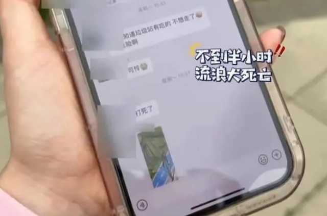 闹大了,流浪狗咬伤女孩,保安无奈杖毙