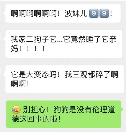 救命呀！我家狗子是大禽兽！它…它竟然睡了它亲妈…...