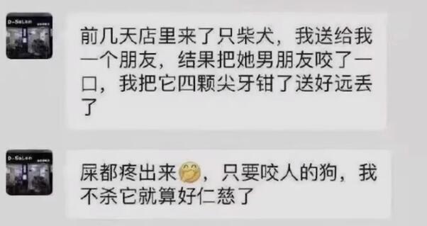 小柴犬被活活拔掉牙齿后,施虐者:我是一个很喜欢狗的人...