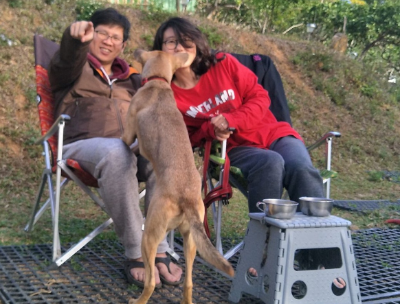 唐狗突然冲入全家福镜头，顿时爱犬成最大亮点