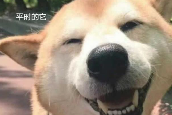 带狗子去动手术，大夫笑着跑出去，主人家进来一瞧双眼发傻