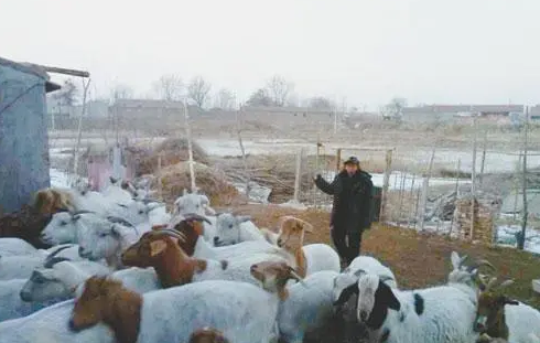 狗愤怒了咬自己主人 | 东营市民养了七年多爱犬 突然发狂咬伤主人