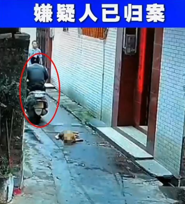 狗被喷不明液体后迅速死亡,江门公安:嫌犯被抓获,有偷狗前科