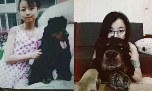 狗狗临终前施展全身气力把骨头放到主人拖鞋里，原来是因为...