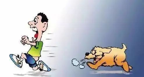 男子被狗追摔倒受伤,狗主人该如何担责?