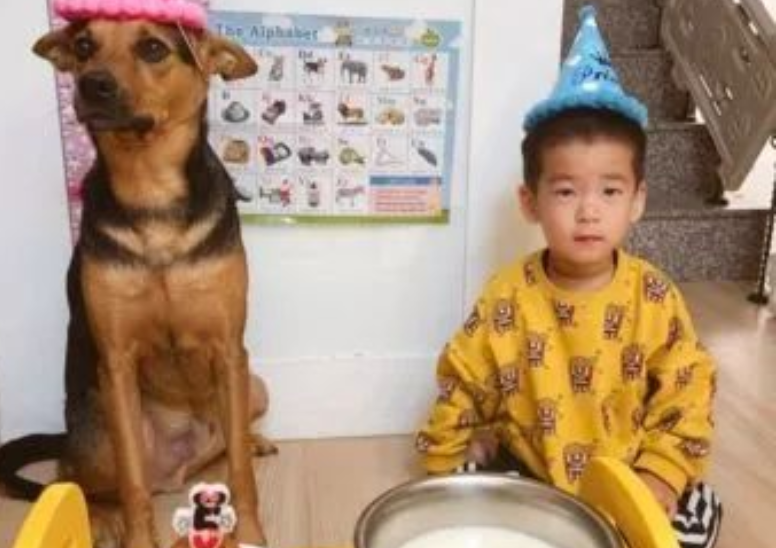 爆笑!戏精狗子和小主人玩游戏时听说自己“没救了”瞳孔瞬间放大