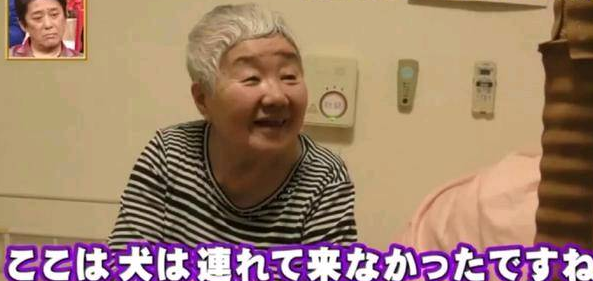 狗狗和主人都换上了老年痴呆 多年后的重逢 还会认得彼此吗?