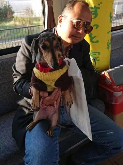 家里小狗也可以搭地铁站,专业为宠物设定的车厢,想进入车内必须掌握下