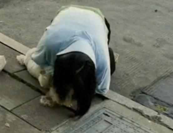 没拴绳的狗狗出了车祸,主人哭着给它做心肺复苏,还做人工呼吸!