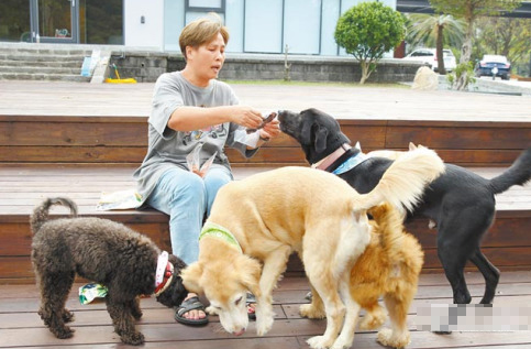 罗志祥整建“流浪狗豪宅” 30只流浪狗与“大猪”获收养
