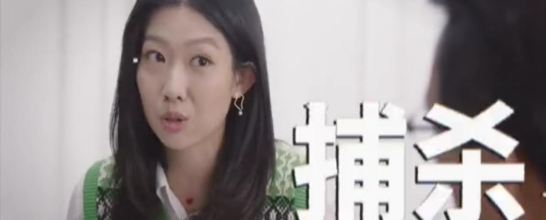 储殷:流浪猫狗都是入侵动物,应该直接捕杀