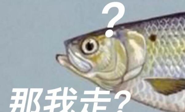 鲱鱼放屁致两国对立?牛顿的狗差点让物理学倒退?盘点6个动物导致的误会