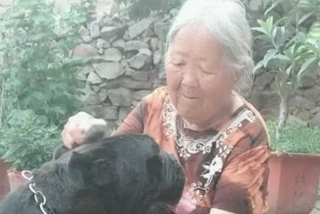 奶奶养了一只高加索犬卡斯罗,性情温和的像只小猫咪,狗:谁还不是个宝宝?