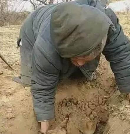 养了十三年的老土狗突然去世,老人含泪将其埋葬