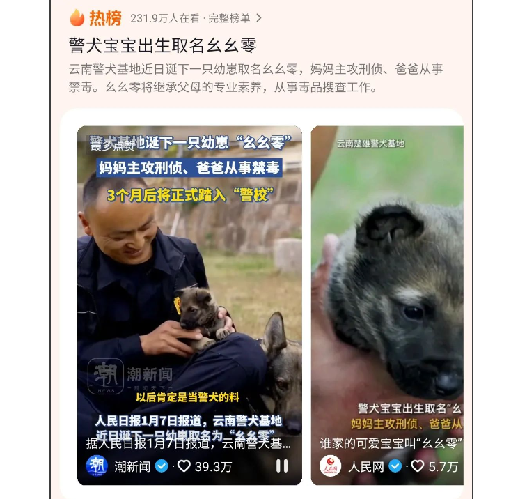 优秀警犬爹妈生下独子,奶爸给起名“幺幺零”,网友:这个宝宝是爽文主角标配啊!