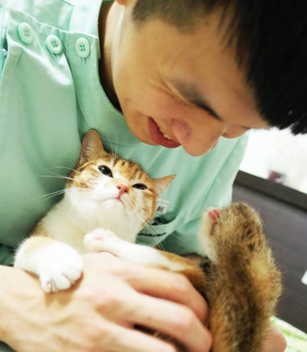 温暖!治愈犬和爱人猫的大家庭 有故事的一狗三猫
