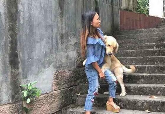 金毛很厉害,假装警犬混入警察局,狗:鸡腿真好吃!