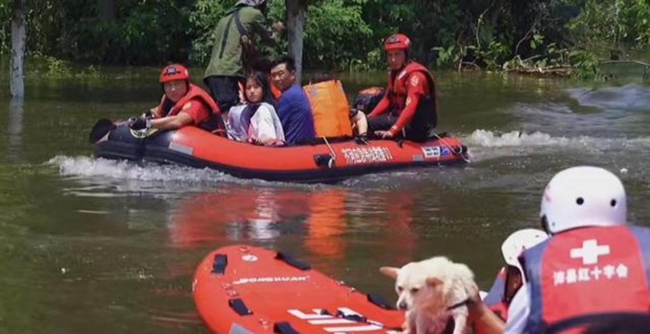 狗命也是命!河南新乡救援力量只顾救人,引发爱犬组织强烈不满
