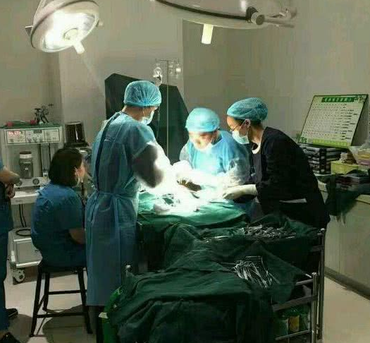 流浪狗被车撞到以后生命垂危,宠物院院长亲自给狗狗免费手术!