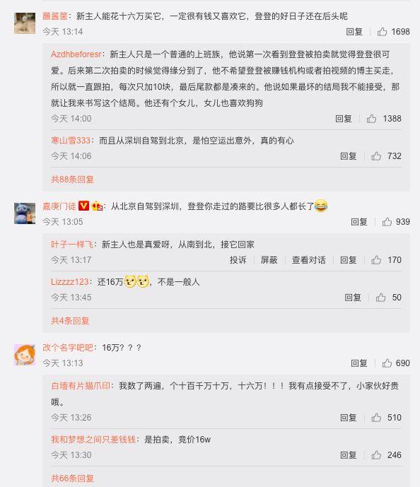 卖身还债的柴犬登登被新主人接走,新主人:我只是一个想把登登带回家的普通人