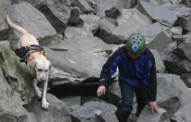 狗狗照顾新生奶猫,紧张到僵硬,直到被小爪子抱住了舌头!